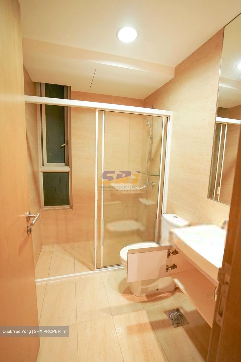Jalan Besar (D8), Condominium #589318811